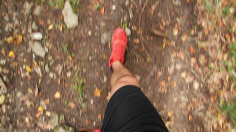 POV shot of a trail runner in the forest. Trail running on the off road.