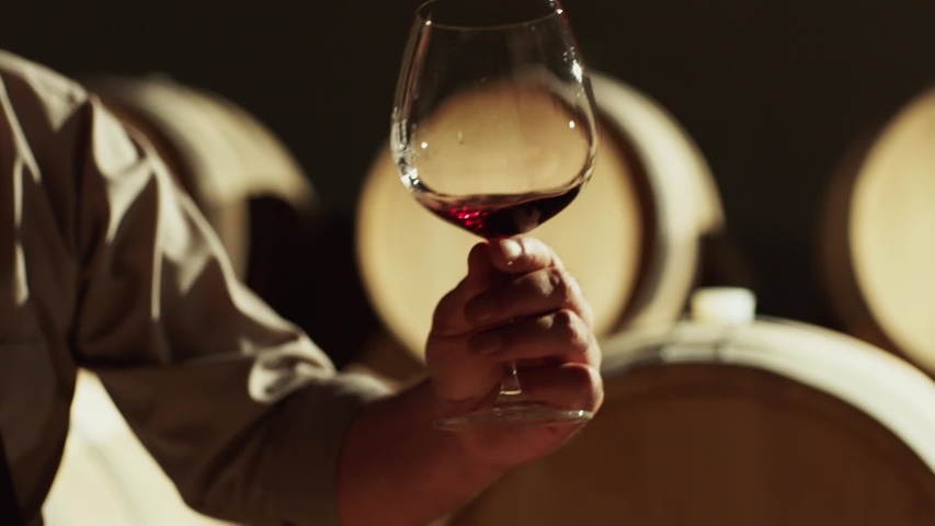 Portrait of a senior well-dressed winemaker checking the wine . Positive sommelier mixing red wine in glass evaluating color at tasting . Winemaking concept . Shot on ARRI ALEXA Camera Slow Motion . Royalty-Free Stock Footage #1040773820