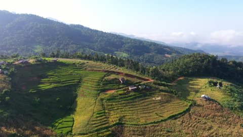 Aerial view morning scene of Pa Bong Piang paddy terraced rice fields with farm huts, Mae Chaem, Chiang Mai Thailand