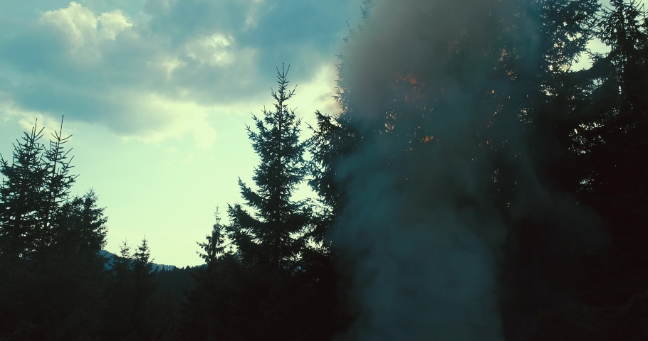 fire flames starting to ignite try branches in dry forest aerial drone