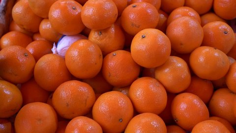 mandarin harvest. tangerines. at the market