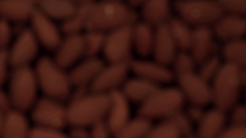 Super Slow Motion Shot of Almonds Flies After Being Exploded against Black Background, 1000fps. Royalty-Free Stock Footage #1040808425