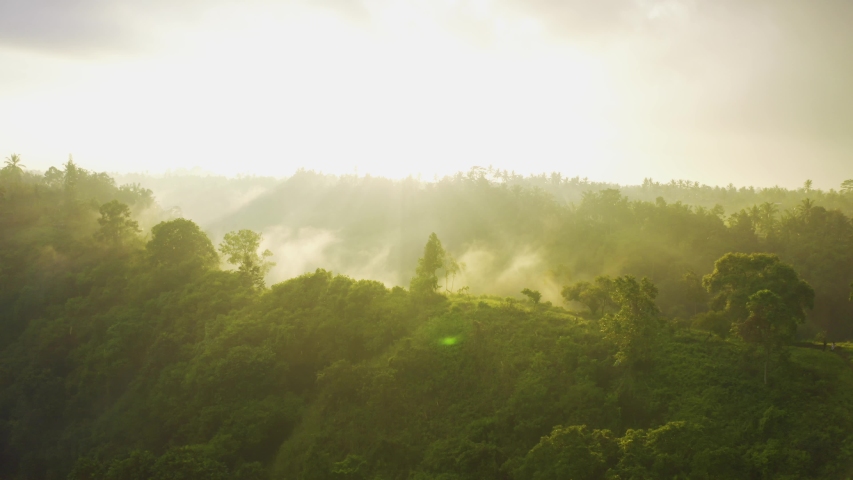 Amazing scenic view Tropical forest with jungle and green trees in the morning rays of the sun and rain. Aerial view 4K. Royalty-Free Stock Footage #1040820140