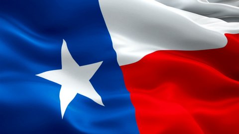 Texas State flag video waving in wind. Realistic US State Flag background. ‎Dallas Texas Flag Looping closeup 1080p Full HD 1920X1080 footage. Texas USA United States country flags footage video news
