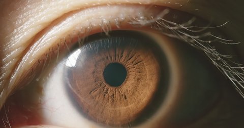 Macro shot of brown eye with pupil and iris วิดีโอสต็อก
