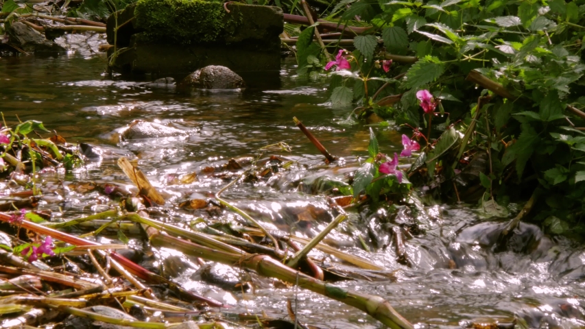The water of the mountain stream Muglitz