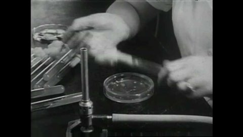 CIRCA 1950s - Soil from around the world used in laboratories early on in the 1950s to develop antibiotics to combat diseases.