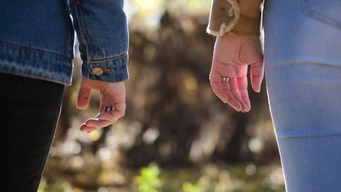 Gay, lgbt and homosexuality concept - close up of happy lesbian couple holding hands on grass background - Stock Image Video stock