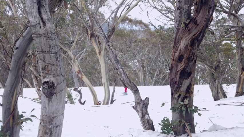 People skiing in the ski park , Mount Buller with trees around 