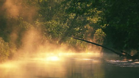 Early summer morning. Fog over the water, glistening webs. Camera movement complements the forest landscape of the river, with a beautiful sunrise.