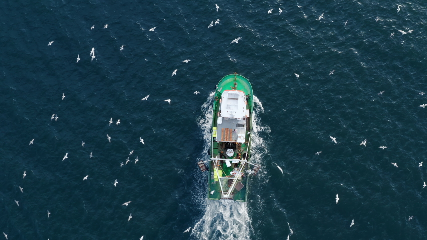 Fishing Boat with Large Catch Fish Swirling Flock Gulls Aerial View Drone. Small Ship Floats on Sea Surface Leaving a Path of Sea Foam Water. Seagulls Top View Royalty-Free Stock Footage #1040896217