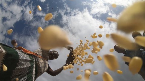 SOUTH ETHIOPIA – MARCH 2019: Looking up to woman dropping maize on camera lens at local tribal market in Ethiopia, agriculture and farming in Africa
