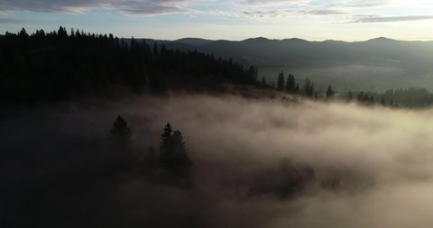 Sunrise over the Carpathians from aerial view, hovering mountains (Mykulychyn, Ukraine)