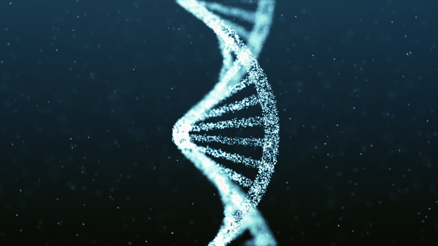 Human DNA genome double helix particle animation. Concept of future biotechnology, medicine, gene therapy, development, engineering Royalty-Free Stock Footage #1040992556