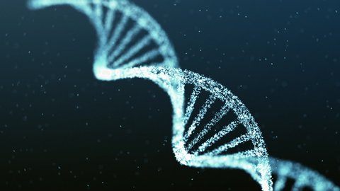 Human DNA genome double helix particle animation. Concept of future biotechnology, medicine, gene therapy, development, engineering