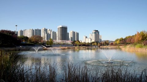 Autumn forest. Lake. Autumn Landscape. Real time. Olympic Park in Seoul, South Korea