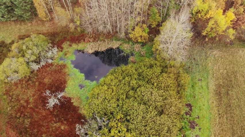 Aerial view. Flying in forest over colorful autumn trees. Autumnal natural scenery in Europe, Poland Pomerania Kashubia