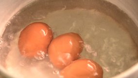 Boiling eggs in boiling water, cooking videos footage