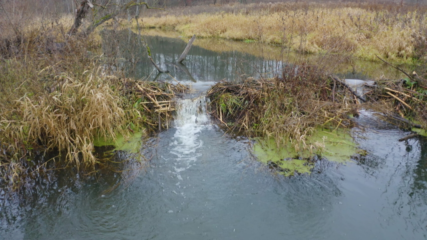 small waterfall on an autumn plain river, a dam. Pan take off