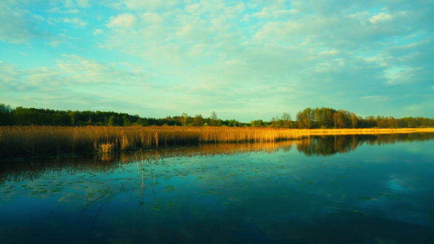 forest lake landscape with beautiful sky