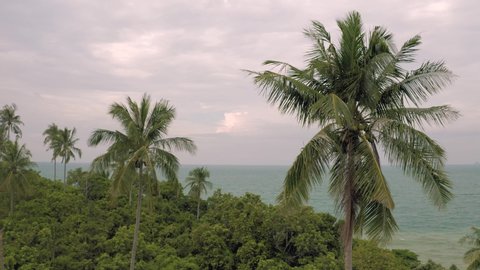 Palm Trees and Rocky Beach 4k Drone shot in Thailand