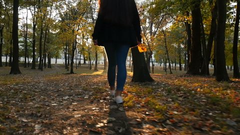 Young woman walks in the park with yellow leaves in her hand. Beautiful sunset. Beautiful place. Camera is in motion. Slow motion