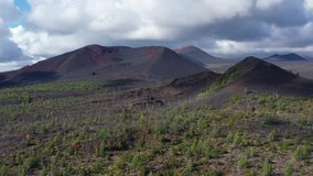 Aerial footage of Tolbachik volcano complex. The dead forest on the southern slopes around small side volcanos and cinder cones is a result of the eruptions of 3.682 m high volcano Plosky Tolbachik. 