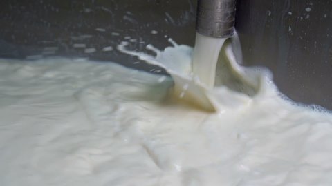 Raw Milk Pouring into Pasteurization Tank in Slow Motion. Milk Pasteurization in Dairy Processing Plant. Milk inside the Pasteurization Tank at the Dairy Factory. Dairy Plant Food Safety.