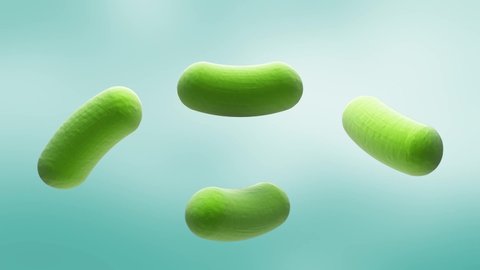 Probiotic-many bifidobacteria and mask to them.  3d animation