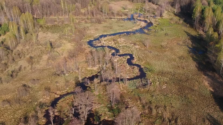 Flying over a small and winding river in the forest on a spring day, a view from a height