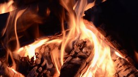flame fire of bonfire with birch firewood on night, side view close-up full HD stock video footage in real-time