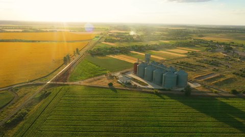 modern grain silos elevator at the field of blooming sunflowers aerial view
