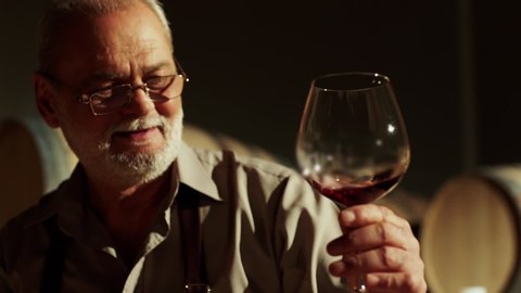 Portrait of a senior well-dressed winemaker checking the wine . Positive sommelier mixing red wine in glass evaluating color at tasting . Winemaking concept . Shot on ARRI ALEXA Camera Slow Motion .