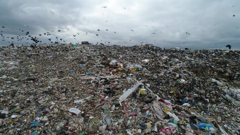 Dramatic view of large landfill. Flocks of birds circling over the garbage dump. A huge garbage mountain of unsorted waste. Aerial view.