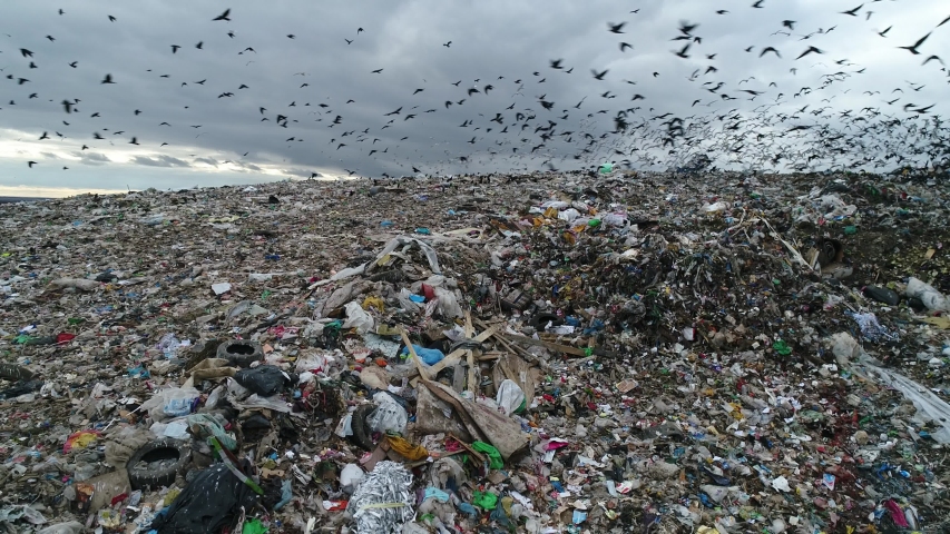 Dramatic view of large landfill. Flocks of birds circling over the garbage dump. A huge garbage mountain of unsorted waste. Aerial view. Royalty-Free Stock Footage #1041138541
