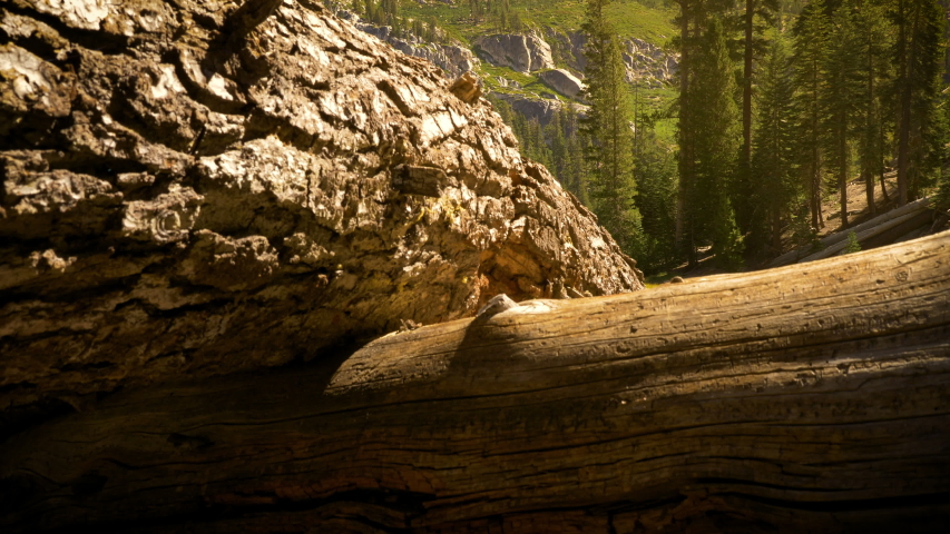 Sotcher Lake in the Ansel Adams Wilderness near Mammoth Lakes California USA