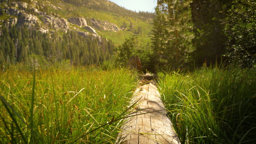 Sotcher Lake in the Ansel Adams Wilderness near Mammoth Lakes California USA