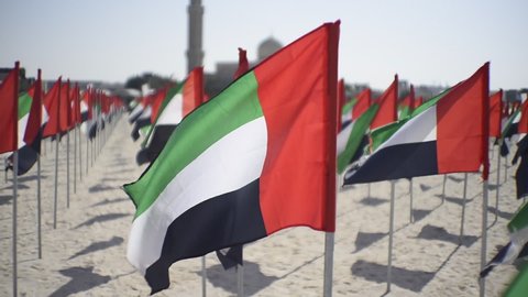 Waving United Arab Emirates flag on the dubai beach, Front point view of UAE flag