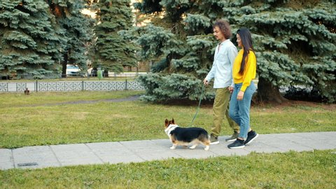 Loving couple man and woman are walking welsh corgi pembroke dog in city park talking relaxing enjoying warm day outdoors. People and animals concept.