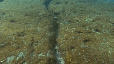 Crack in the seabed over tectonic plates. Tiktanic displacement of plates at the bottom of the sea. Mediterranean Sea