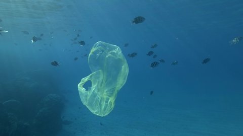 Yellow plastic bag slowly drifts near with school of tropical fish near a coral reef in the blue water in sun light. Underwater plastic pollution of the oceans. Slow motion, Plastic garbage underwater