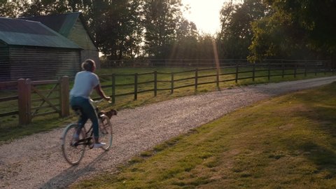 Drone shot of young woman with pet bulldog riding bike along country track at sunset Stock-video