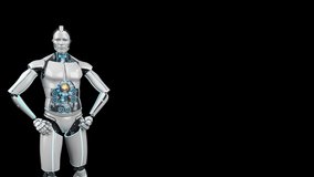 Alpha Channel 4k Video, Humanoid Robot Presentation