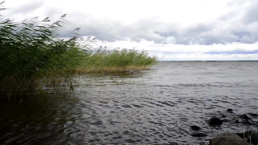 cloudy summer day in nature by the lake
