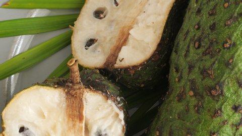 One soursop graviola, exotic, tropical fruit Guanabana on plate, Rotate. Food background