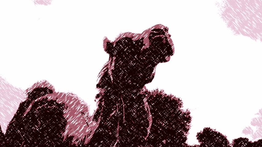 Stitch drawing effect: a dromedary in an oudoors environment. Close-up below shot.
