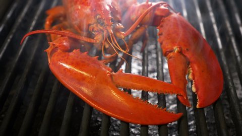 Steamed lobster seafood on grill