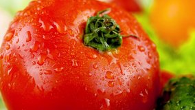 Macro 4k video of water droplets falling on fresh ripe red tomato. Concept of healthy nutrition and organic food. Perfect background for vegetarian or vegan