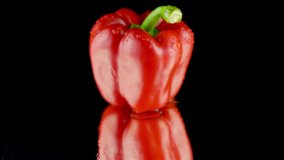 Closeup 4k dolly footage of fresh red bell pepper or paprika covered in water droplets or dew drops on black background. Concept of healthy nutrition and organic food. Perfect backdrop for vegetarian