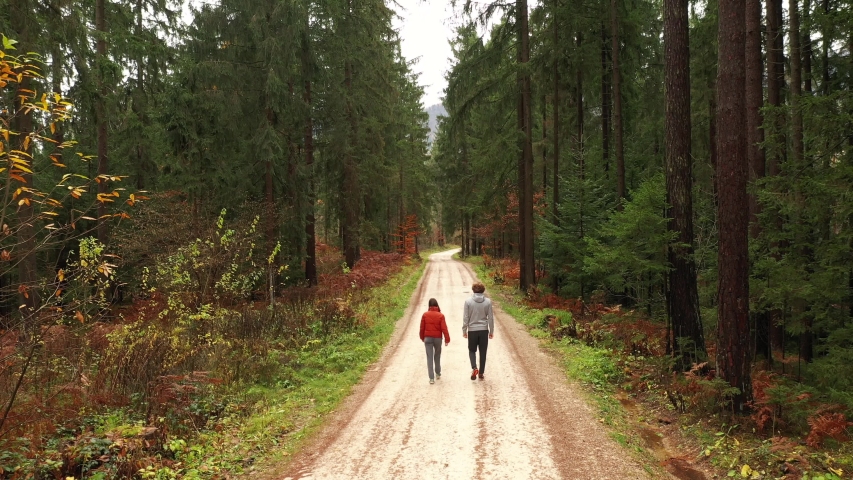 Back view of couple walks on beautiful forest road. Autumn season. Drone shot. | Shutterstock HD Video #1041266539